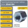 Гайка шестигранная трапецеидальная сталь SKM 30-6-D (диаметр 30 мм, шаг 6 мм) правая резьба TECHNIX PRO