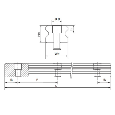 Направляющая RGR25RP L=400 см (роликовая) TECHNIX (чертёж)