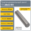 Трапецеидальный винт 28x5 TR правый (диаметр 28 мм, шаг 5 мм) С45 TECHNIX PRO